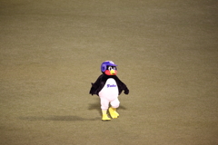 つば九郎　おやじなお腹