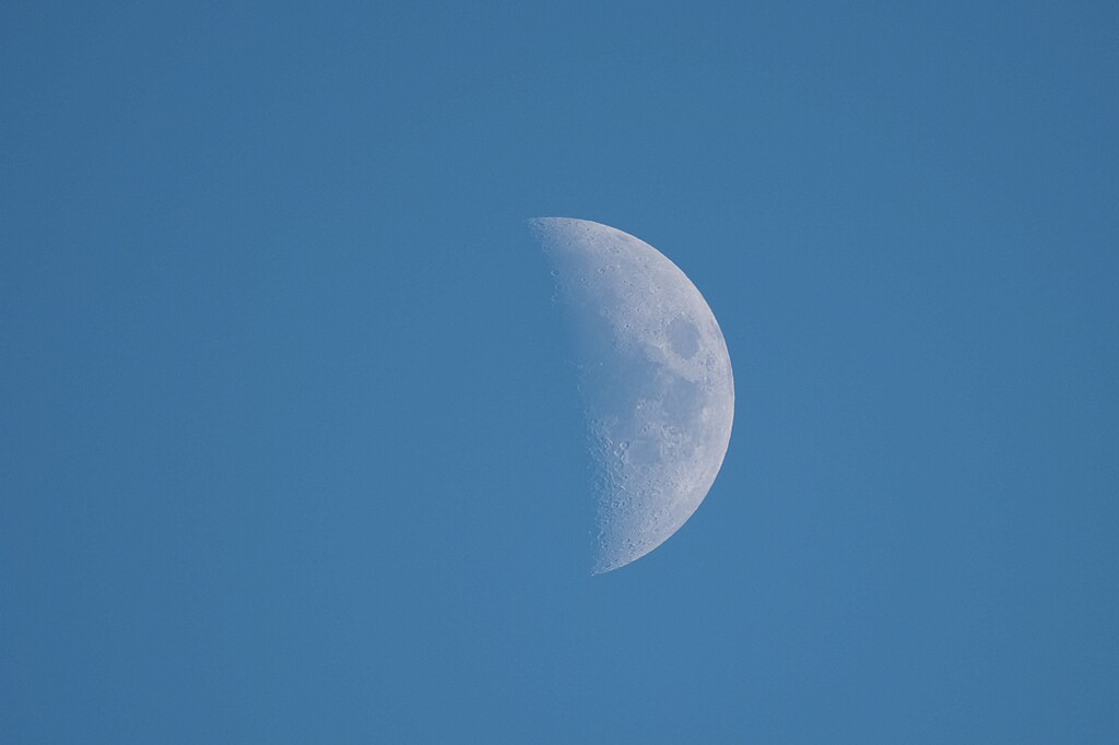 おやつのお時間