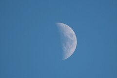 おやつのお時間