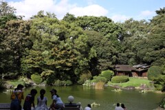 午後のくつろぎ