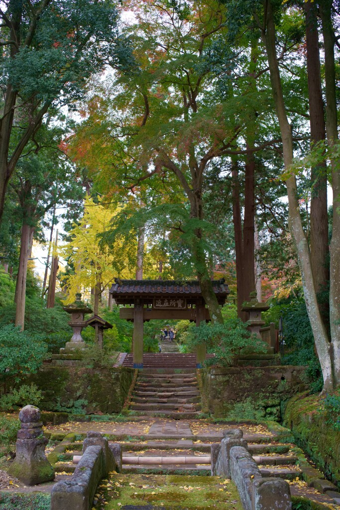浄智寺　実所在近