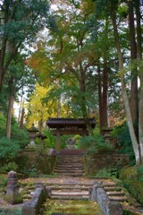 浄智寺　実所在近