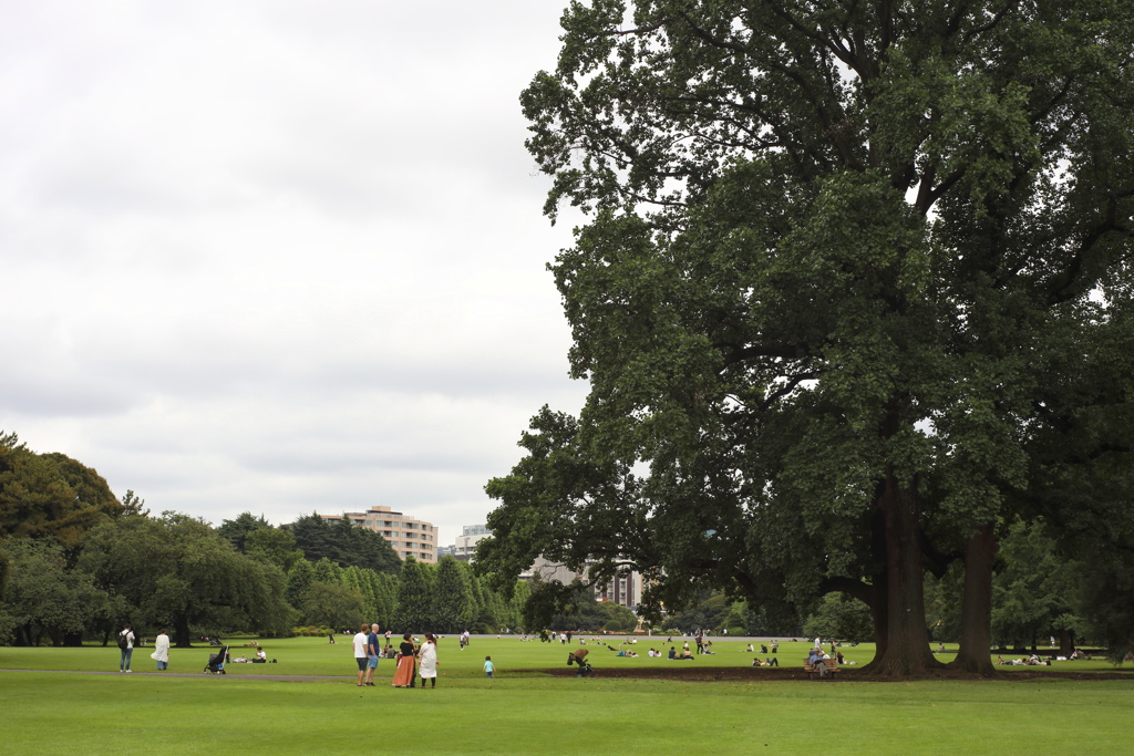 新宿御苑