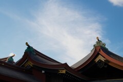 社