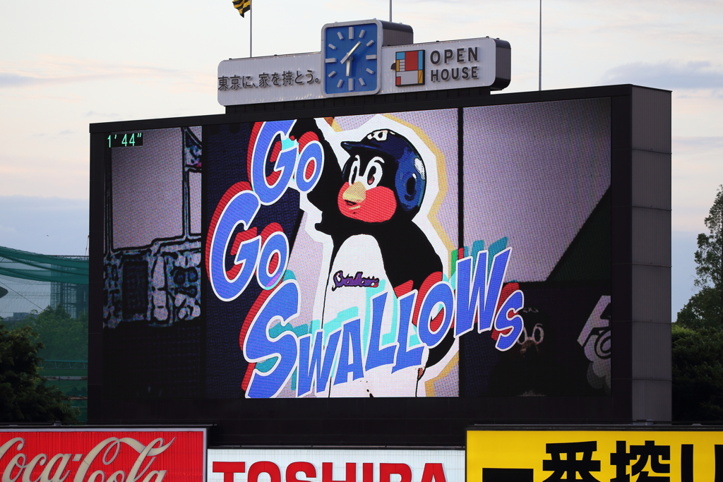 Go Go Swallows