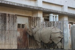 戸を開けてくれ