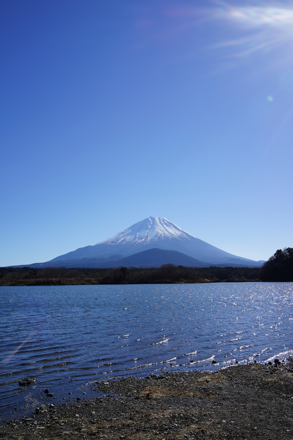 精進湖　富士　元旦