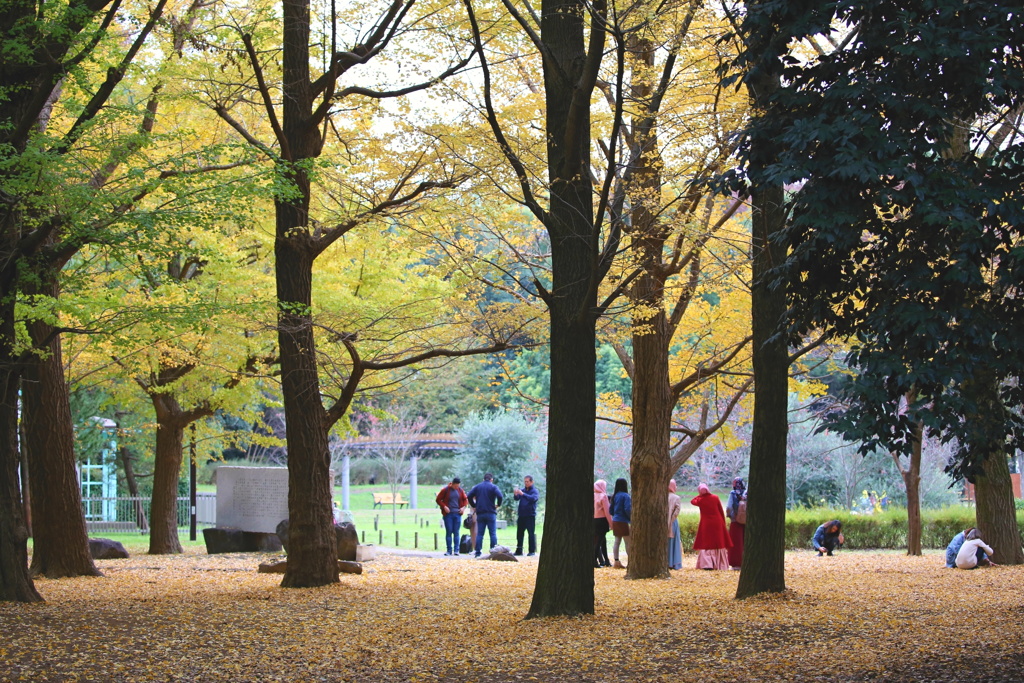 代々木公園　紅葉