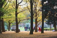 代々木公園　紅葉