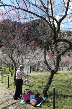 高尾梅郷　木下沢梅林 (42)