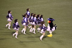 流れに逆らうつばみ 