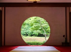 明月院　紫陽花 (4)