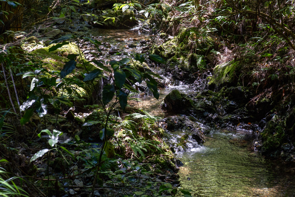 高尾山中の水