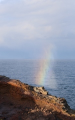 元乃隅稲成神社 　　龍宮の潮吹