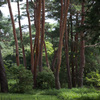 神代植物園
