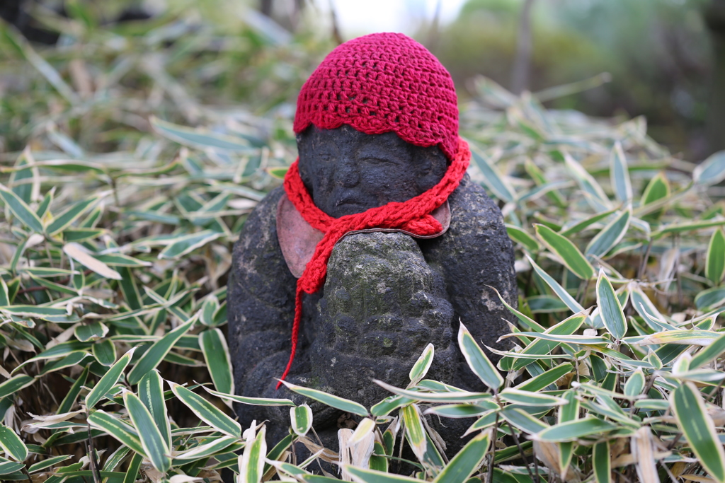 高幡不動　紅葉 (17)