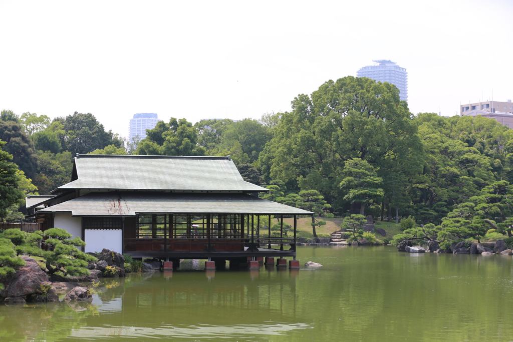 清澄庭園 (7)