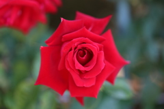 アンクル・ウォルター