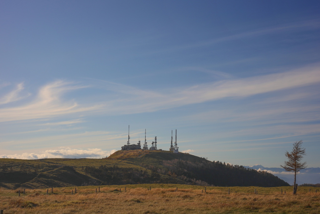 フランケンシュタイン博士の館