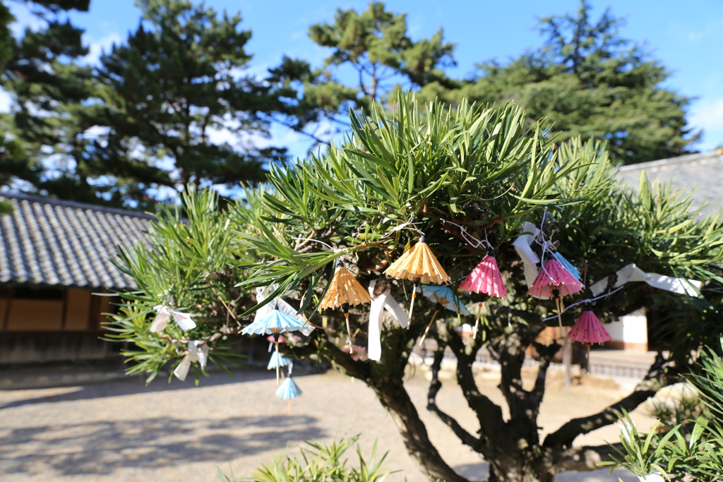松陰神社　傘の形のおみくじ