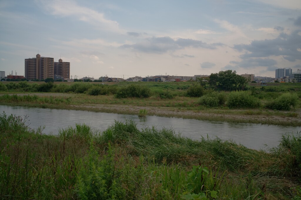 多摩川