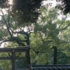 明治神宮