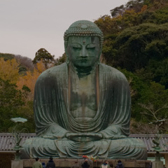正面