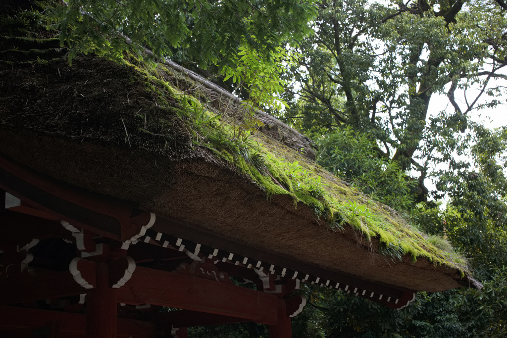 深大寺　山門