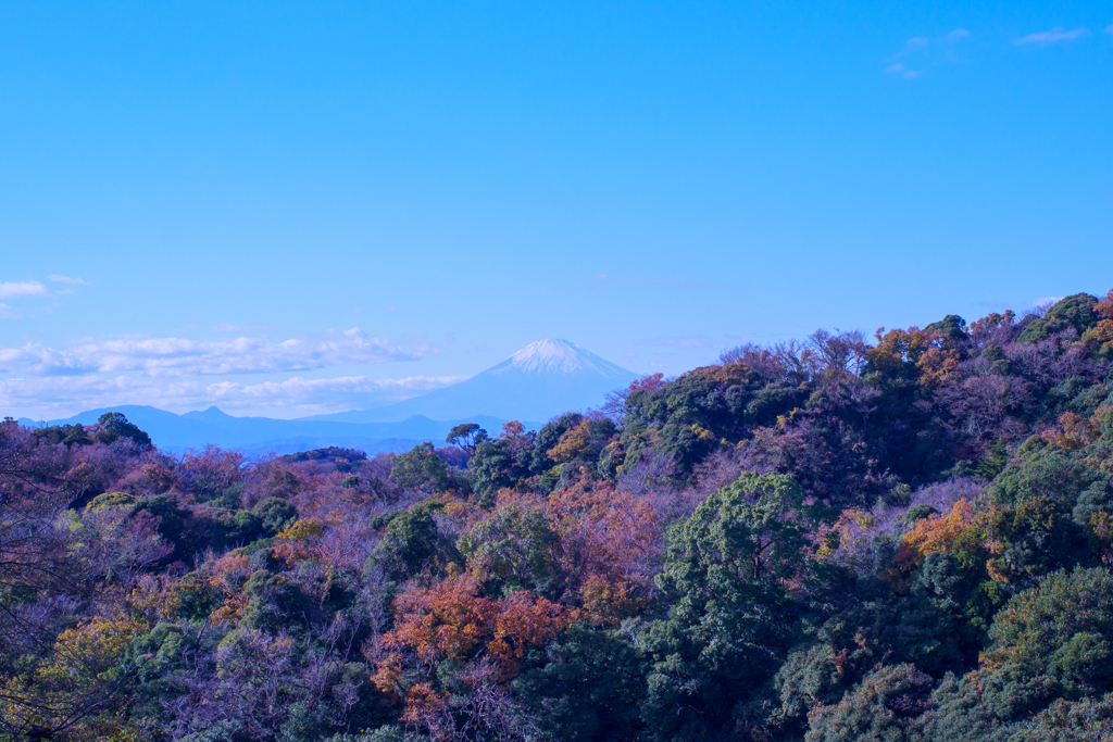 鎌倉　半僧坊