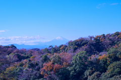鎌倉　半僧坊
