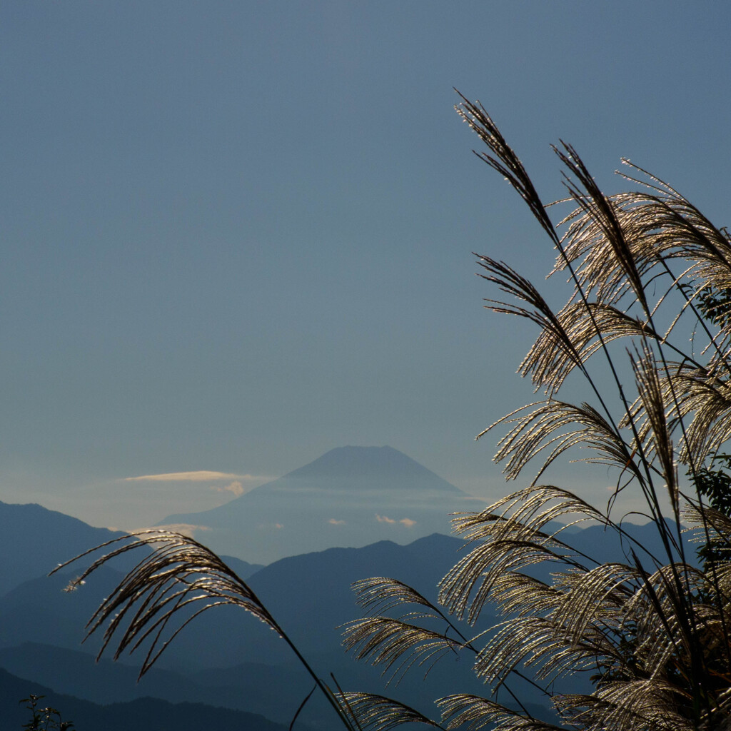 富士山