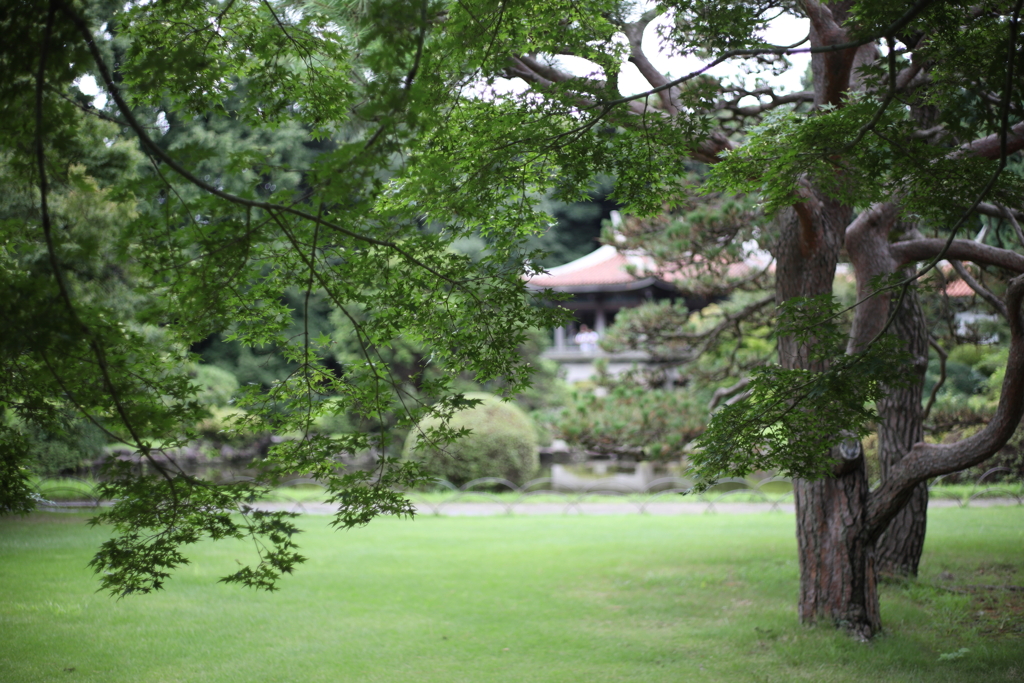 新宿御苑　旧御凉亭