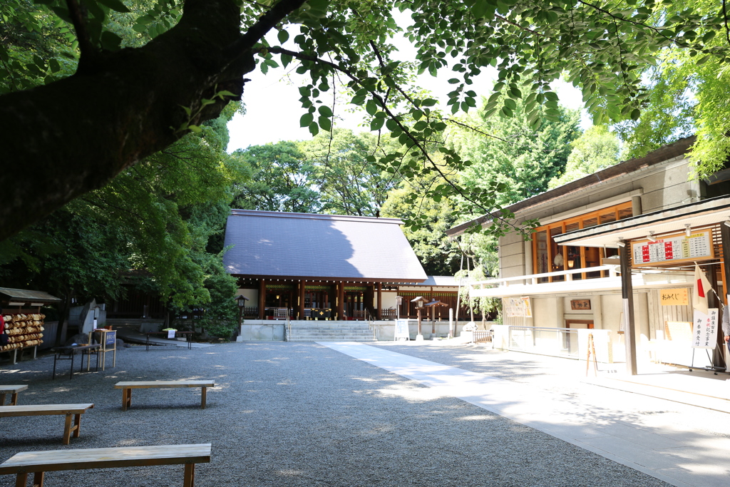 乃木神社 (7)