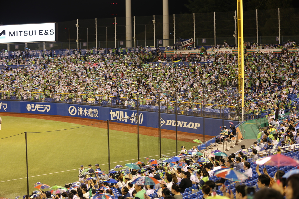 神宮球場   ヤクルトファンの傘