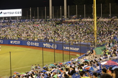 神宮球場   ヤクルトファンの傘