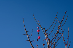 立春　これから