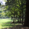 小金井公園