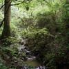森の小川