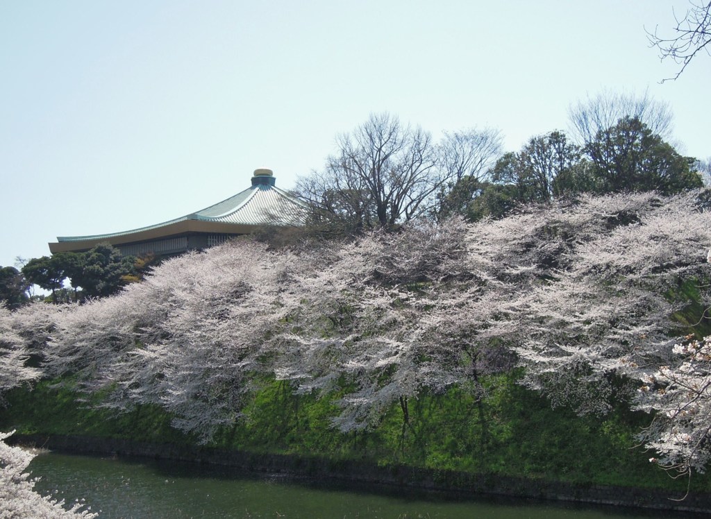 DSCN2619