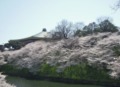 DSCN2619