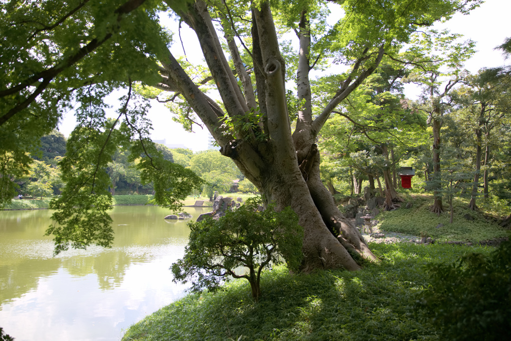 小石川後楽園