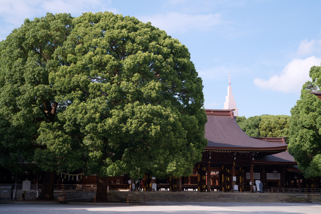 神宮