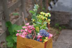 花の盛り合わせ