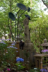 そば守観音　と　黒猫