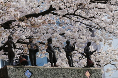 聖蹟桜ヶ丘