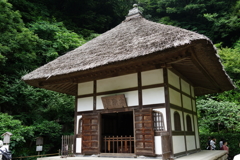 明月院　紫陽花 (23)