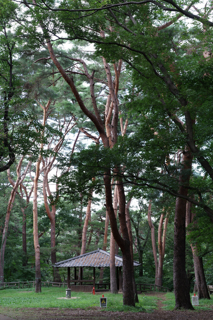 東屋