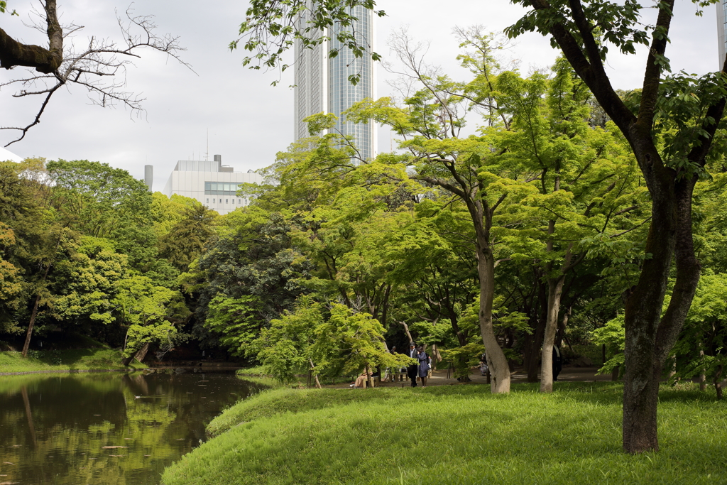 小石川後楽園