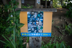 景信山