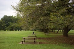 午後のひととき